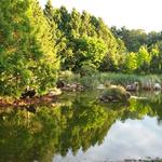 False Creek Duck Pond photo