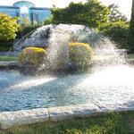 Van Pelt's Fountain photo