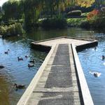 Granville Island Duck Pond photo