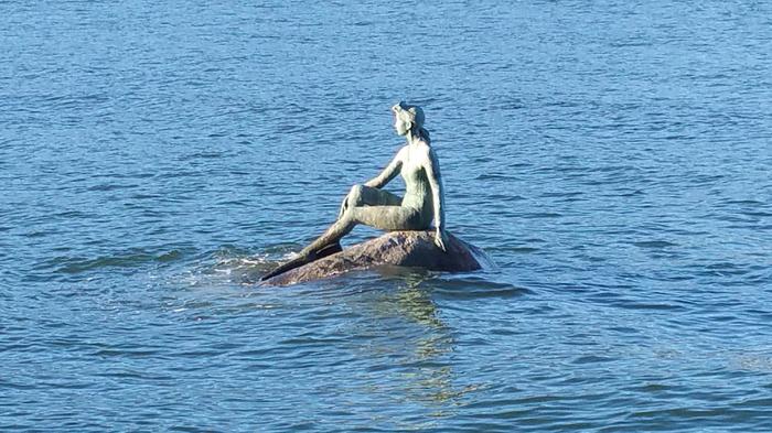 Girl In Wetsuit photo