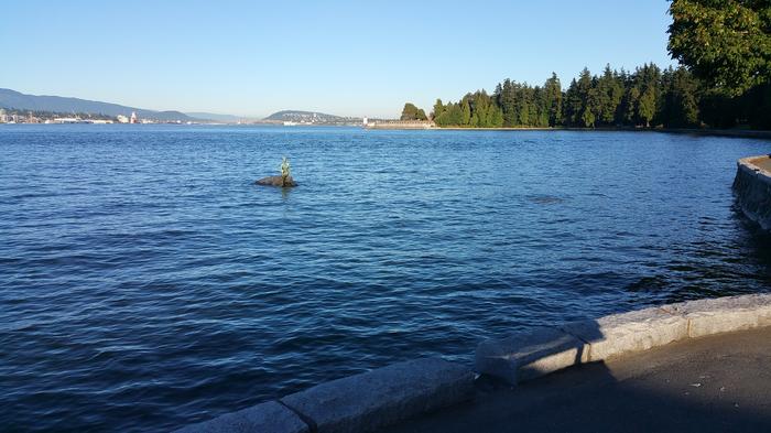 Girl In Wetsuit photo