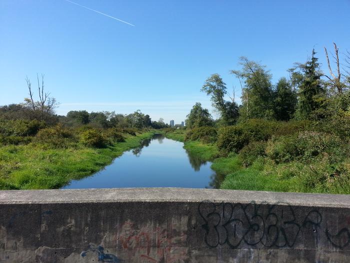 Burnaby Lake photo