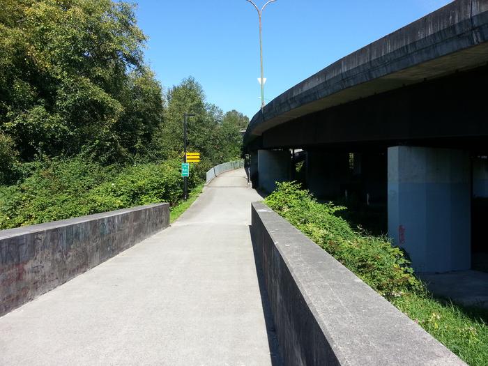 Burnaby Lake photo