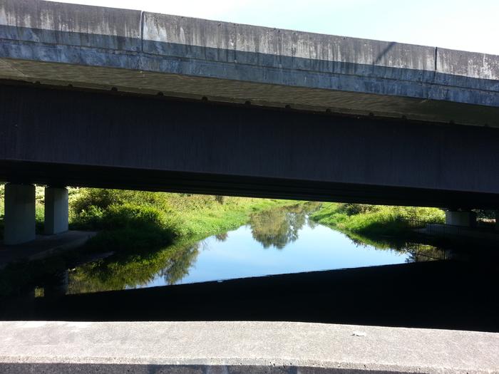 Burnaby Lake photo