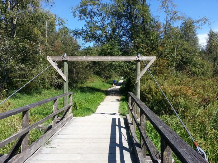 Burnaby Lake photo