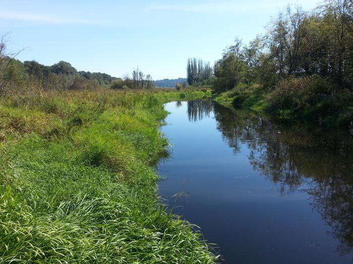 Burnaby Lake photo