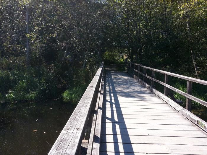 Burnaby Lake photo