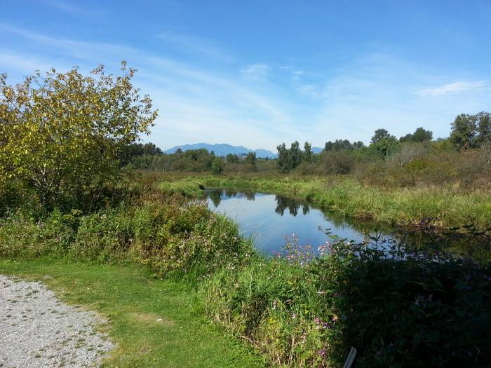 Burnaby Lake photo