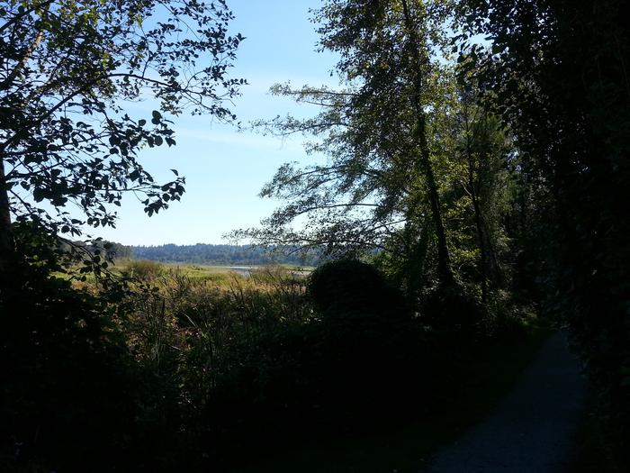 Burnaby Lake photo