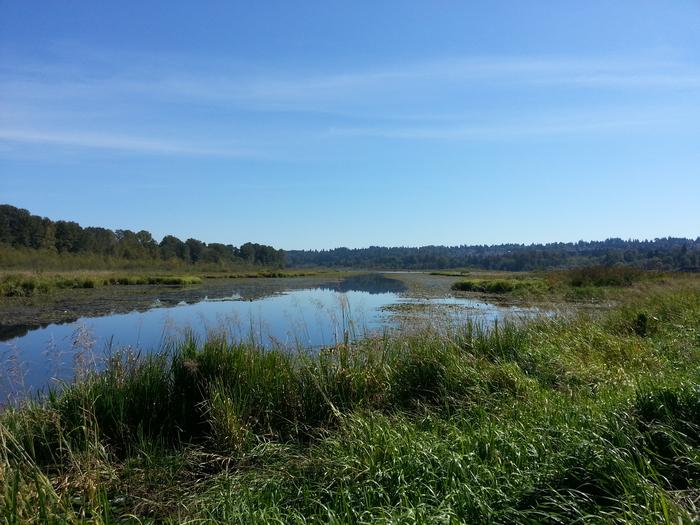 Burnaby Lake photo