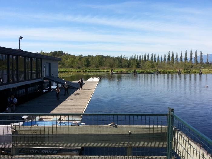 Burnaby Lake photo