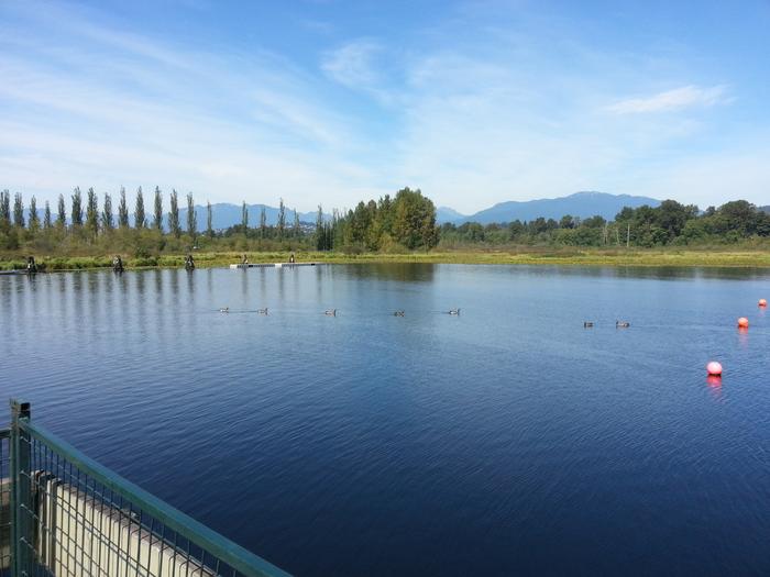 Burnaby Lake photo