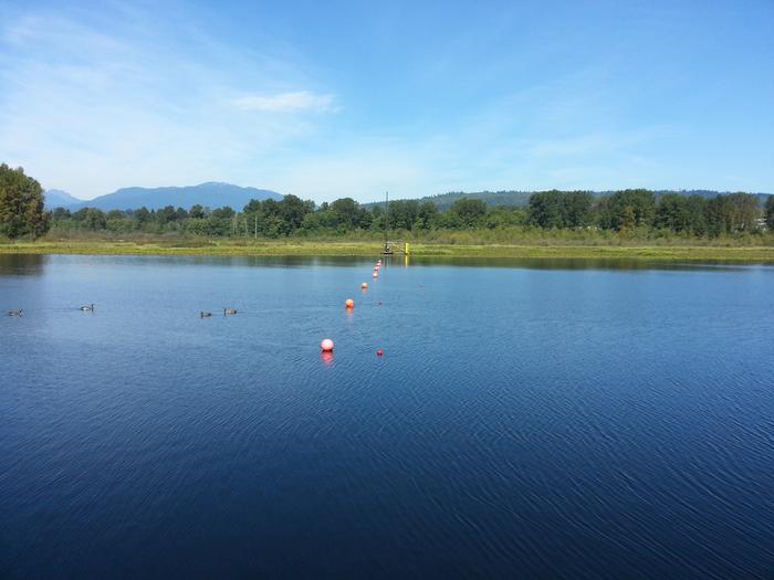 Burnaby Lake photo