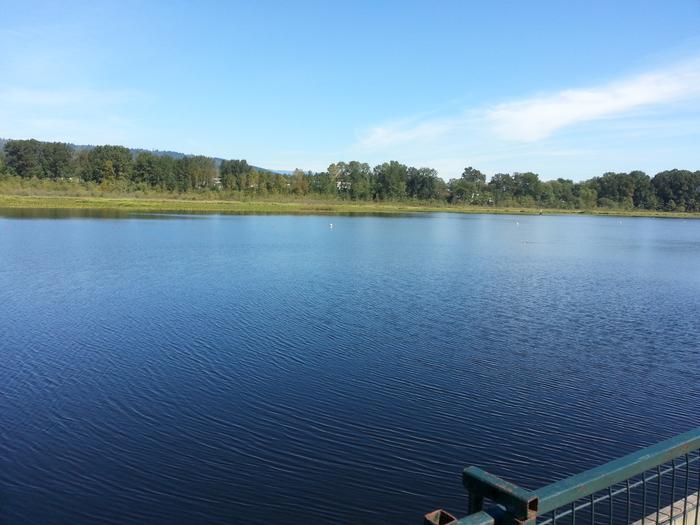 Burnaby Lake photo