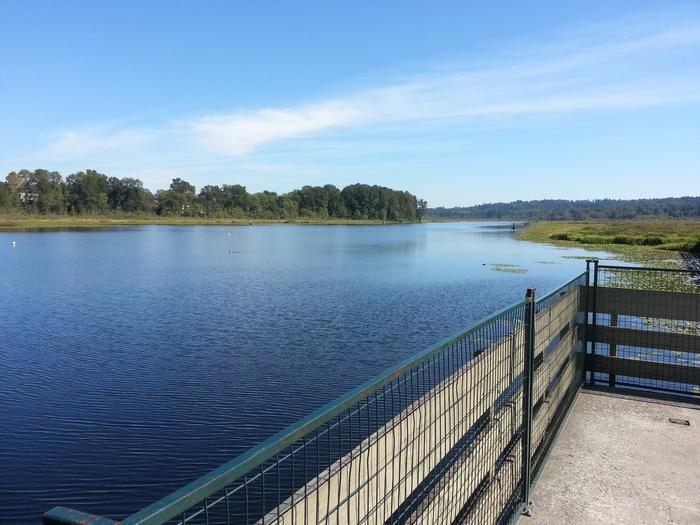 Burnaby Lake photo