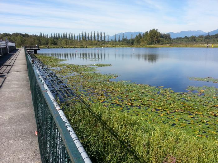 Burnaby Lake photo