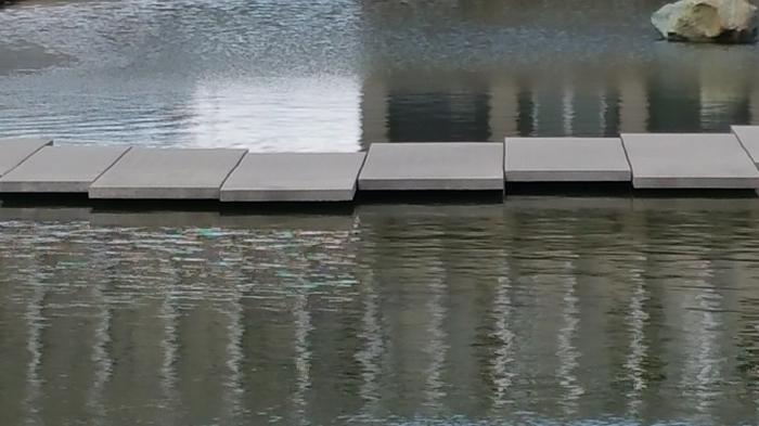 SFU Reflecting Pond photo