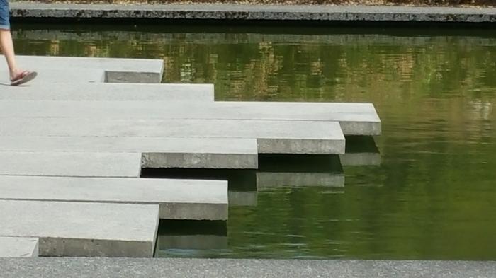 SFU Reflecting Pond photo