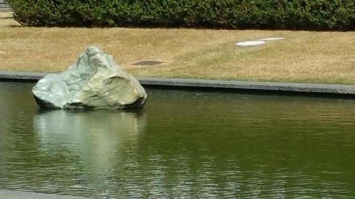 SFU Reflecting Pond photo