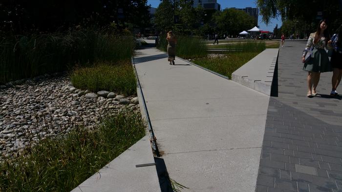 UBC Ladder Marsh photo