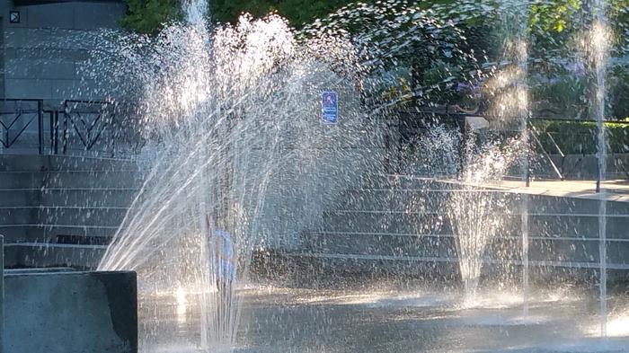 Harbour Green Water Park photo