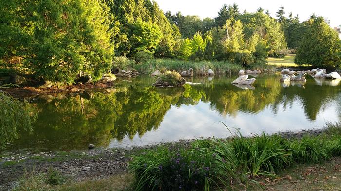 False Creek Duck Pond photo