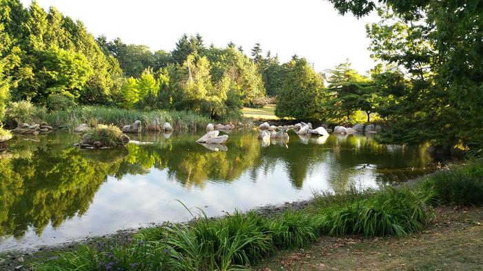 False Creek Duck Pond photo