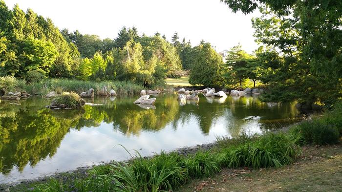 False Creek Duck Pond photo