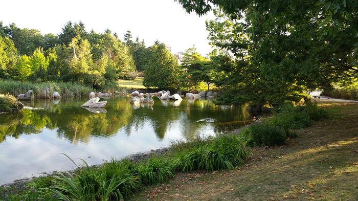 False Creek Duck Pond photo