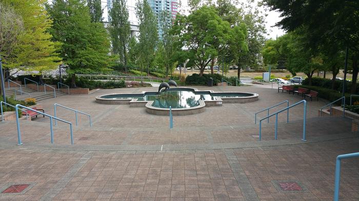 Metrotown Dolphins photo