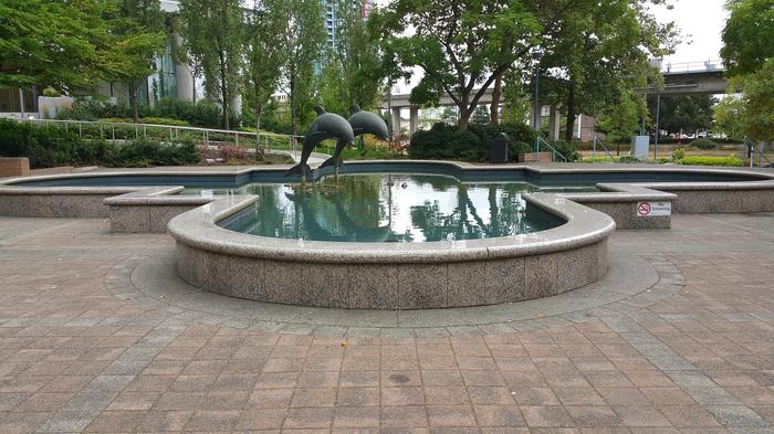 Metrotown Dolphins photo