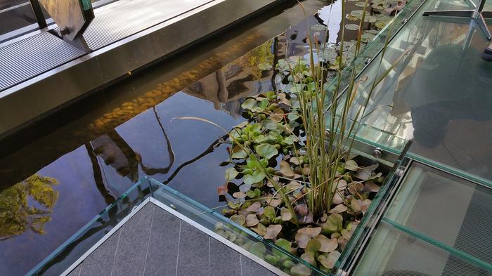 Telus Garden photo