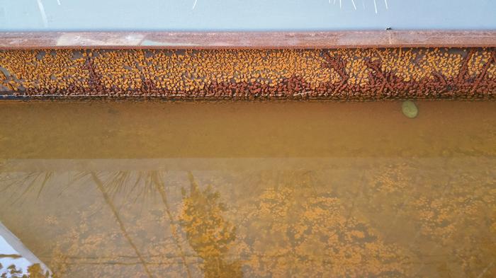 Rusty Trough photo