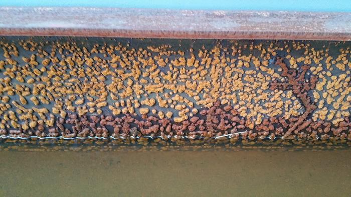 Rusty Trough photo