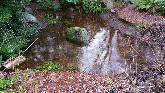 Hermit's Bath photo