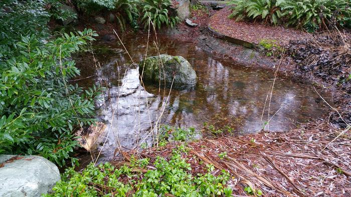 Hermit's Bath photo