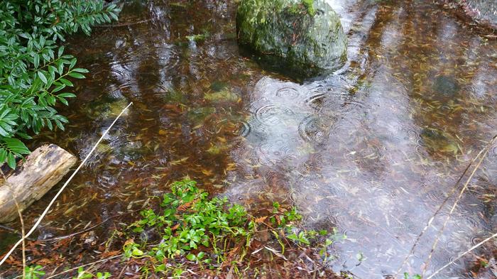 Hermit's Bath photo