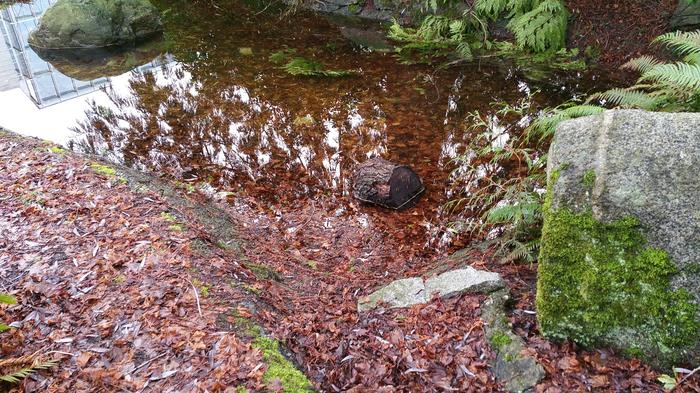 Hermit's Bath photo