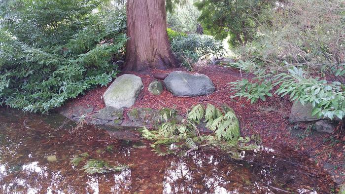 Hermit's Bath photo