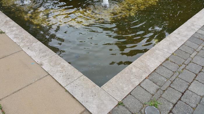 HKU-UBC House Rock Pond photo