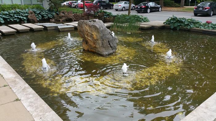 HKU-UBC House Rock Pond photo