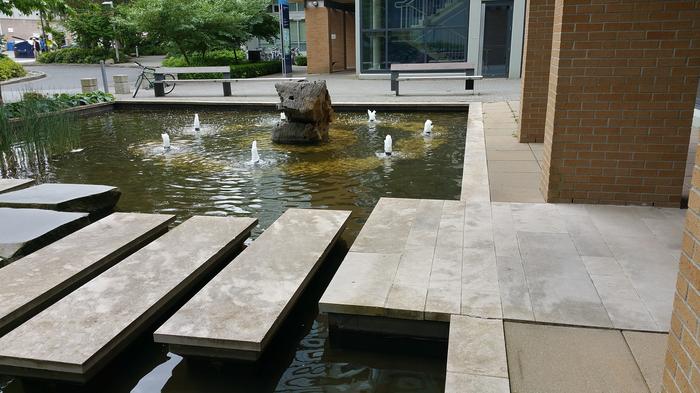 HKU-UBC House Rock Pond photo