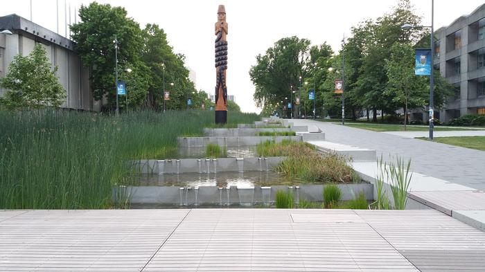 UBC Ladder Marsh photo