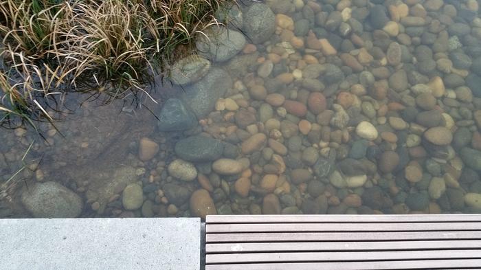 UBC Ladder Marsh photo