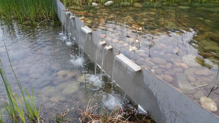 UBC Ladder Marsh photo