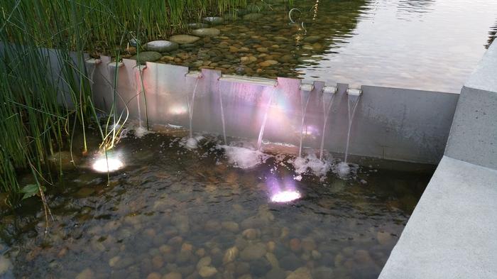 UBC Ladder Marsh photo