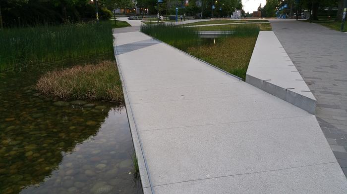 UBC Ladder Marsh photo