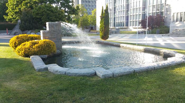 Van Pelt's Fountain photo