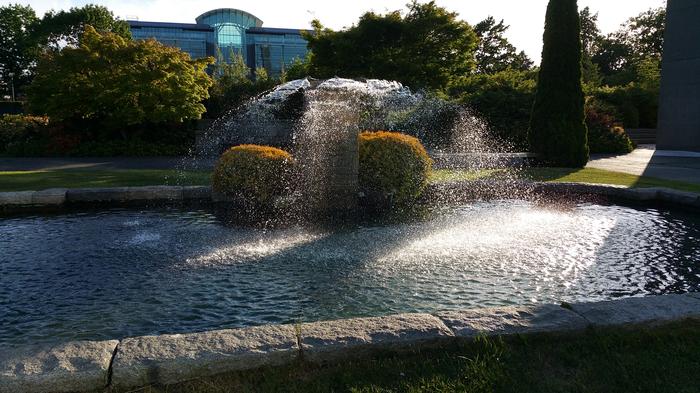 Van Pelt's Fountain photo