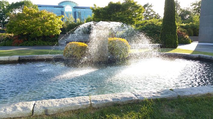 Van Pelt's Fountain photo